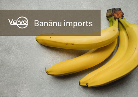 Banānu imports Latvijā – no kurienes un kā!?
